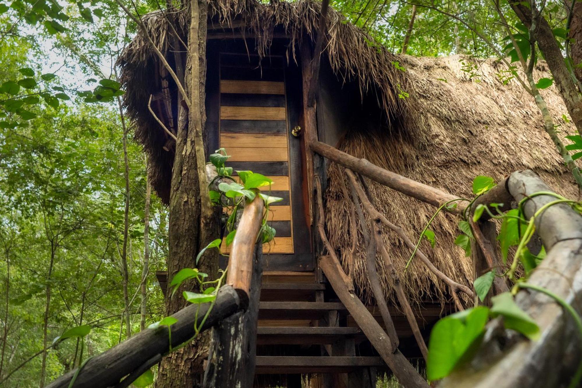 莫雷洛斯港 Madre Tierra Eco Habitat旅馆 外观 照片